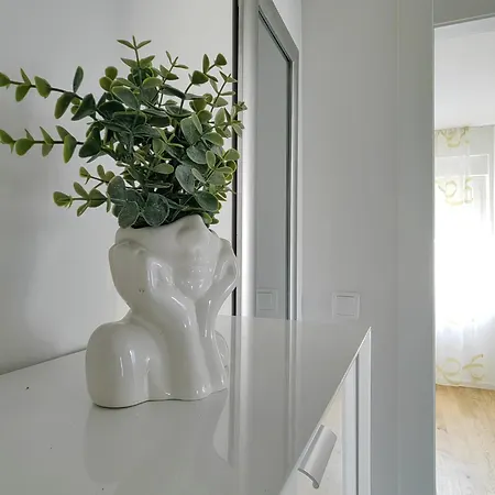 Nearby & Palace شقة